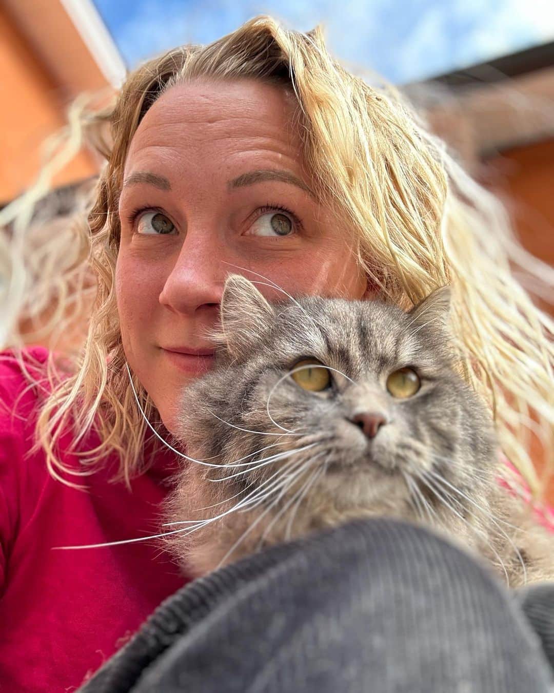 のインスタグラム：「Nu är våren äntligen här har jag och Hanzo bestämt 😻☀️ @cattori.hanzo」