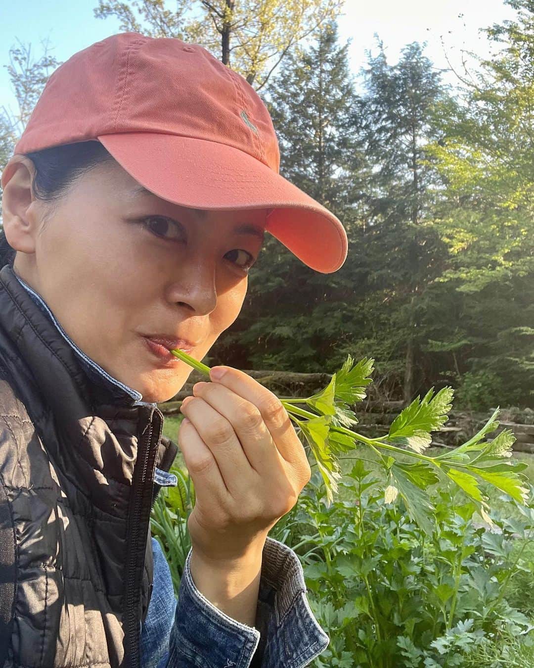 黒谷友香のインスタグラム：「皆さん、こんばんは☺️ ハーブ🌿サラダバー、いただきます😋 セロリめっちゃ良い香り✨ お腹空いてたから、思わずその場で食べちゃった（笑）  #ralphlauren#poloralphlauren#乗馬#馬#東京#tokyo#sdgs#ログハウス#着物#ハーブ#地球温暖化#ガーデニング#LOVOT #ラボット#mediaid#diy#日本#日産 #nissan#EV#日産ariya#ai#大鵬薬品工業#バップフォーレディ#エビス#プレミアムケアハブラシ#いち瑠#黒谷友香」
