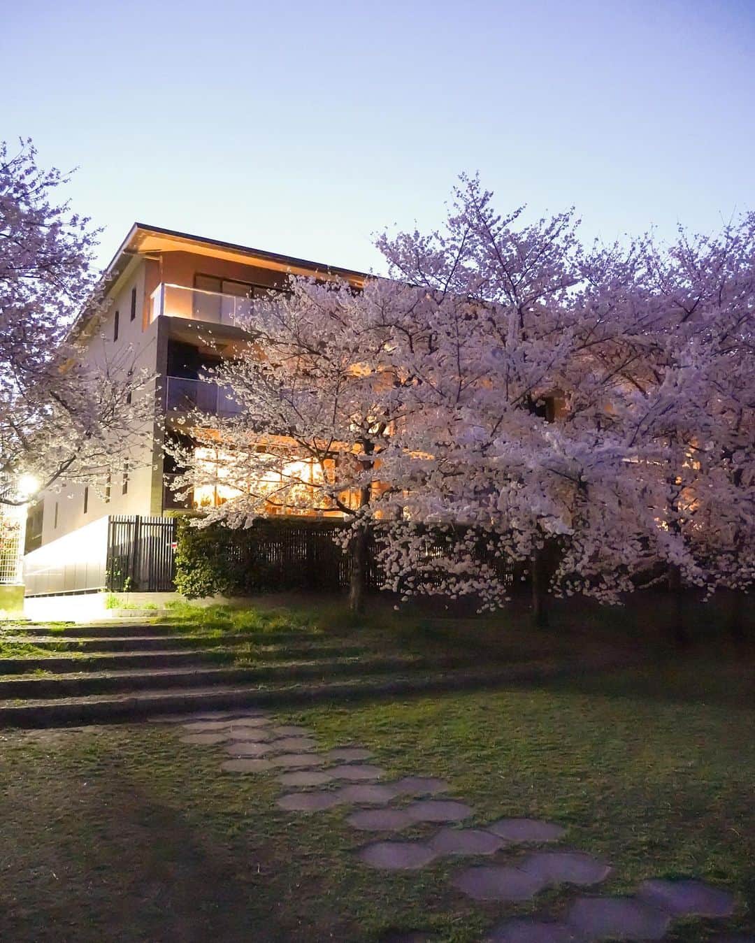 masayaさんのインスタグラム写真 - (masayaInstagram)「鴨川両岸で美しい桜並木が見られる場所に佇む「ザ・パークハウス京都鴨川御所東」。満開の桜が建物全体を包み込むように咲いていた。西側に京都御所、東側に鴨川、大文字山を望む。地上５階建て総戸数85戸、京の美意識を受け継いだハイグレードレジデンスです。  #パークハウス #ザパークハウス #京都 #鴨川 #Kyoto #japan #京都御所 #sakura #桜 #flowers #pr  @the_parkhouse」4月11日 19時47分 - moonlightice