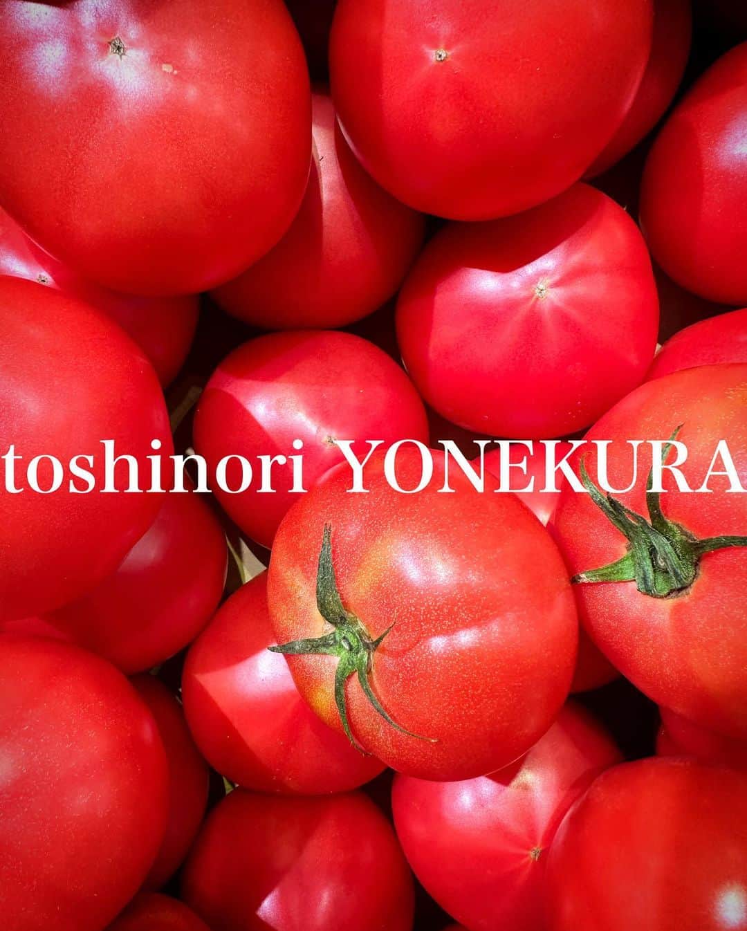 米倉利紀さんのインスタグラム写真 - (米倉利紀Instagram)「元気なトマト #島暮らし」4月11日 19時48分 - toshi_yonekura