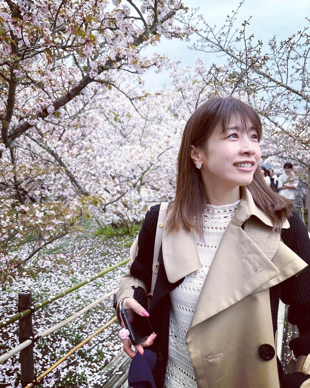 加藤綾子のインスタグラム：「* 京都仁和寺の桜🌸 ちょっと曇り空でしたがそれでもとっても美しかった☺️  #桜 #京都 #仁和寺」