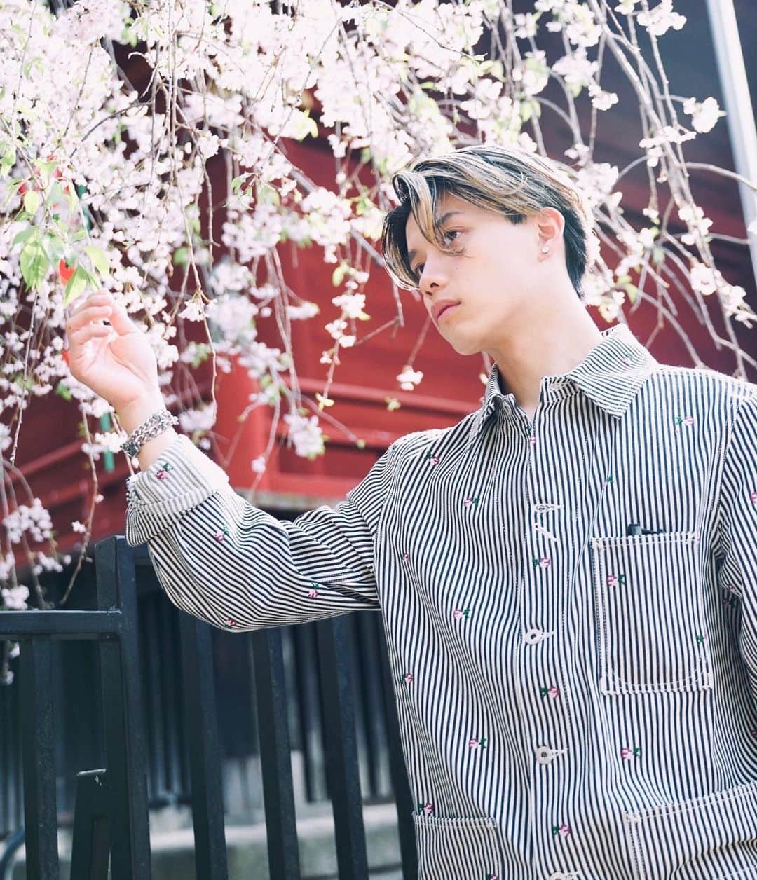 南雲奨馬さんのインスタグラム写真 - (南雲奨馬Instagram)「Do you like Japanese cherry blossoms?🌸  みんな花見はしたかな？🌸」4月11日 19時54分 - shoma8108