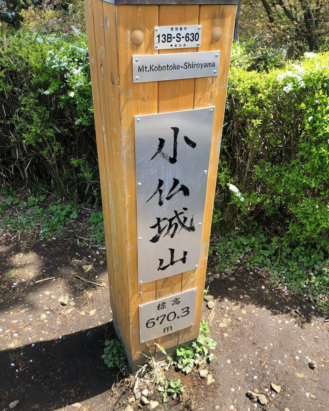 フジイタクミさんのインスタグラム写真 - (フジイタクミInstagram)「小仏城山⛰ めっちゃ天気良かったですわ〜  茶屋でいただいたおでんとビールが格別に美味い。 帰りは高尾山口駅の極楽湯に寄り最高の山行でした👍  #小仏城山 #城山茶屋 #極楽湯 #山 #登山 #山行 #奥高尾」4月11日 20時12分 - takuminminzemi_www