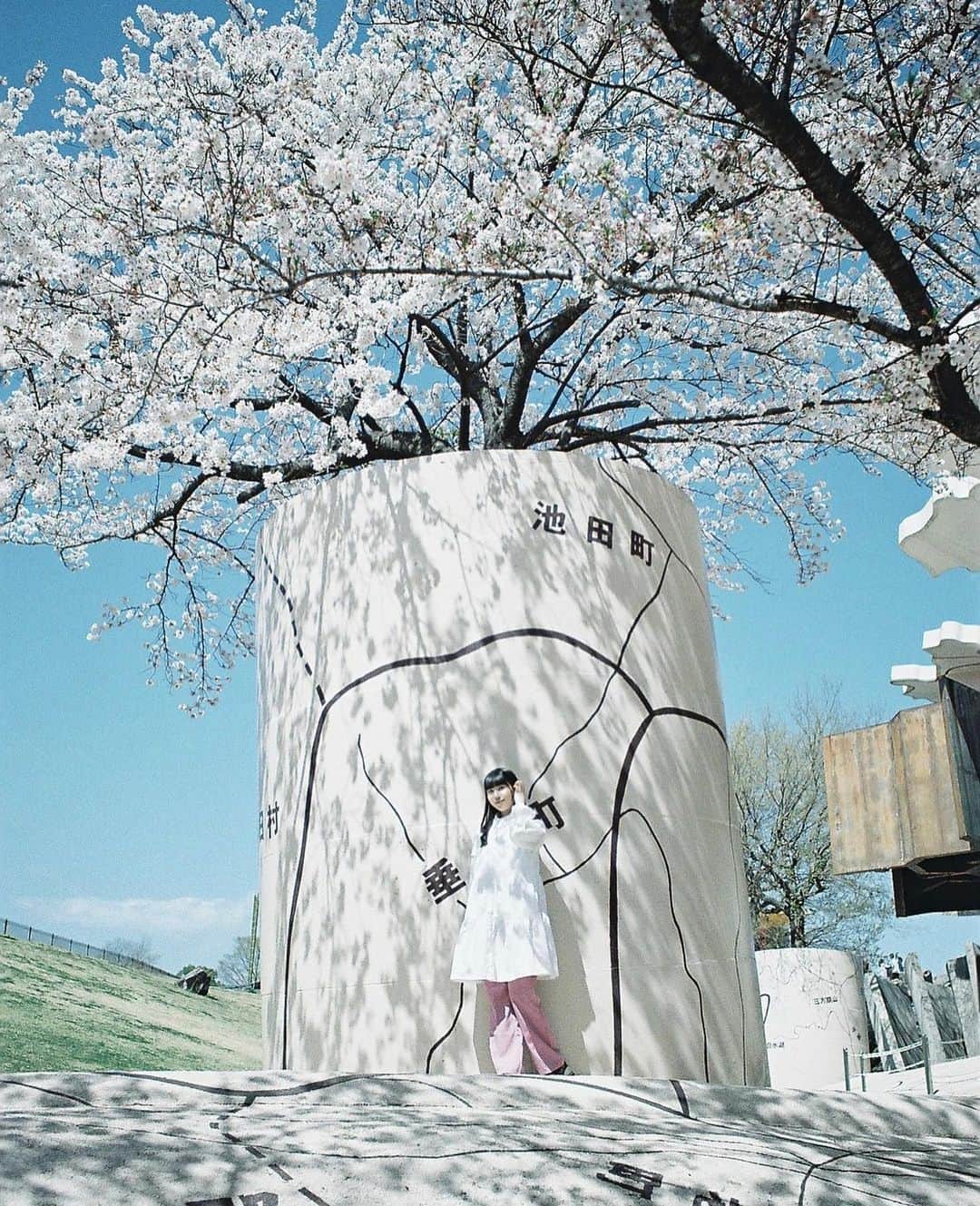 Masaさんのインスタグラム写真 - (MasaInstagram)「.  ▶︎▶︎▶︎ Swipe  1：Pentax6x7  Super Takumar 105mm F2.4 #PRO160NS  2：Nikon F3  立ち位置の指示は、春日村の横とか垂井町の前！とか。 今週末、土日とも久しぶりに撮影予定無しです。  天気悪そうなのでいいけど、日曜は一応、IT系の国家試験を申し込んでますが全く勉強してないので行くの辞めようか行ってみるか悩み中。  撮影日 : 2023年3月29日  #まさペン#エビプリ #pentax6x7 #pentax67 #バケペン #中判フィルム #film #filmcamera #filmphotography #フィルム #フィルムカメラ#フィルム写真 #igersip #portrait #ポートレート #fujifilm #filmisnotdead #ソメイヨシノ #桜 #岐阜 #養老天命反転地」4月12日 7時30分 - masa_nikonist