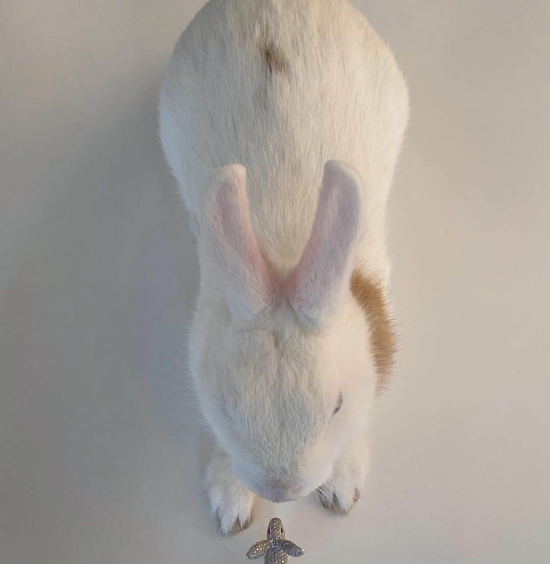 mioのインスタグラム：「Happy(late)Easter 🐰🤍」