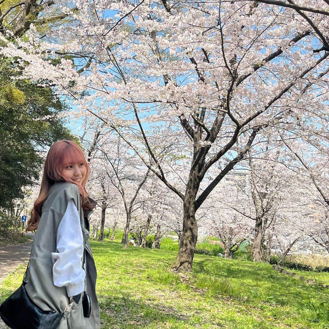 島田キラリさんのインスタグラム写真 - (島田キラリInstagram)「今年も桜見れた～🌸  桜と髪色がお揃いでした！！(՞ ܸ. .ܸ՞)︎♡  #桜#お花見 #ヘアカラー#ピンクヘアー  #Popteen#Popteen専属モデル #きららん #ストリート#ストリート系女子  #ストリートファッション  #ストリートコーデ」4月11日 20時42分 - kiraran___12