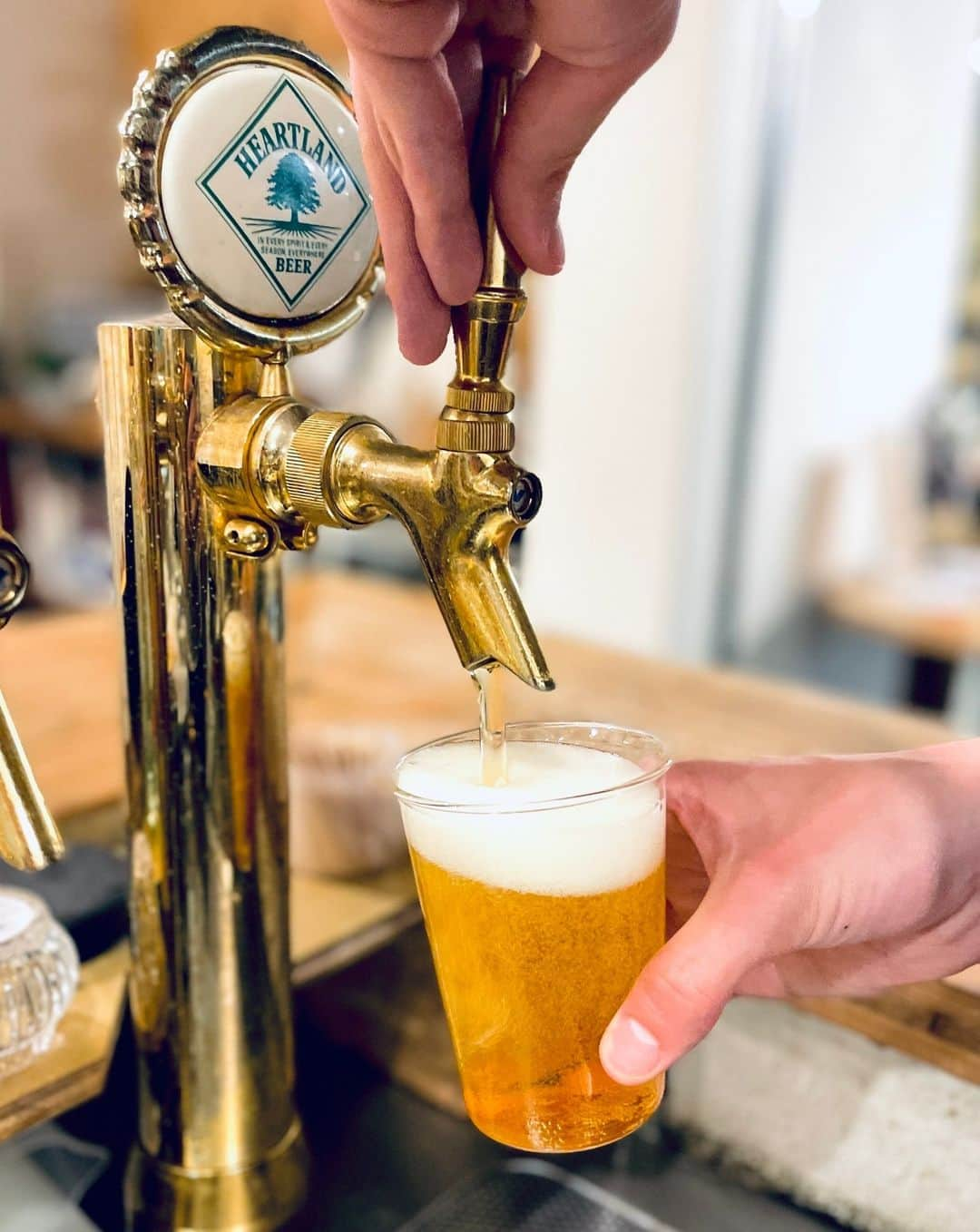 hotelgraphynezuのインスタグラム：「Welcome drink became FREE BEER HOUR ! 🍺⁠ ⁠ Everyday from 6PM to 7PM at the Cafe Space for every guests !⁠ ⁠ ------------⁠ ⁠ ウエルカムドリンクはフリービールハッピーアワーになりました！🍺⁠ ⁠ ⁠ 毎日午後6時～7時に間、カフェスペースに来てください。⁠ ⁠ .⁠ .⁠ .⁠ #explorelively #hotelgraphynezu #lifestylehotel   #draftbeer #happyhour #freebeer #allyoucandrink #tokyohotel #hotelwelcomedrink #heartland #japanesebeer #kanpai #nezu #yanesen  #ホテルグラフィー根津 #ハッピアワー #ドラフトビール #生ビール #ハートランド #日本ビール #飲み放題 #ドリンクサービス #ホテルサービス #ライフスタイルホテル #乾杯 #根津」