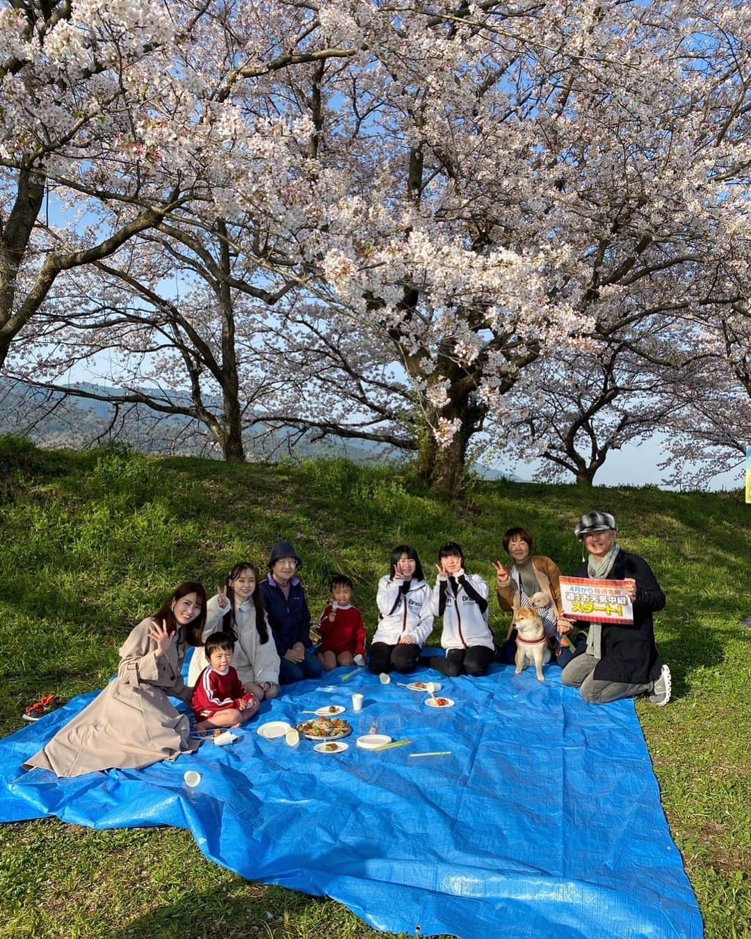 山下七子さんのインスタグラム写真 - (山下七子Instagram)「こんばんは🌙 今日も1日お疲れ様でした🦉  月に１度のお楽しみ！お天気中継🚗☀️ なんと！４月からは週に1度皆さんのお住まいの地域に行き生放送でお天気とその地域の魅力をお伝えさせて頂けることになりました🌈✨  ふるさとwishのポスター撮影でこれまで様々な地域を訪れて福岡県の中には魅力的な市町村が沢山あるんだなと知るきっかけになったのでとっても嬉しく思います☺️  今回はうきは市の流川の桜並木からお伝えさせて頂きました🌸🌸🌸👨‍👧‍👧 桜のトンネルにいるようでひらひらと散る桜がまた風情があって綺麗でした✨ どの角度から見てもとっても綺麗なのでおすすめスポットです！！  そして実は3人揃ってのお天気中継は最後だったんです、、、🥹🥹 中々3人揃うことがないのでレアな気がしていていつも新鮮な気持ちで楽しく中継させて頂いていました！💫  お天気中継ですが私は隔月の奇数月に担当させて頂きます☀️よろしくお願いします！！  色んな市町村に行けるの楽しみすぎる〜✨ これから福岡県の魅力をさらに発見そして 発信していけけるように頑張ります✊🏻✊🏻  #アサデス#アサデスKBC#KBC#福岡県#ふるさとwish#うきは市#お天気コーナー#お天気お姉さん#春コーデ#流川#桜並木#桜#外ハネミディアム」4月11日 21時14分 - yamashita_nanako