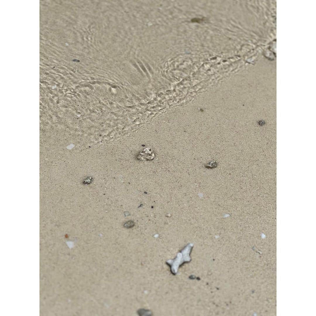 森麻季さんのインスタグラム写真 - (森麻季Instagram)「✈️  久々の海外 時差、飛行時間が子連れに優しいグアムに行きました  ホテルのプール、その前の海だけで子どもたちは大満足 グアムはこのこじんまり感も魅力ですね  今回は　#デュシタニグアム にステイしました 4月から星野リゾートさんもオープンしたらしくそちらも気になります  #グアム #グアム旅行 #子連れ旅行 #海外旅行 #guam #dusitthaniguam #4歳 #1歳2ヶ月」4月11日 21時18分 - maki.mori_m