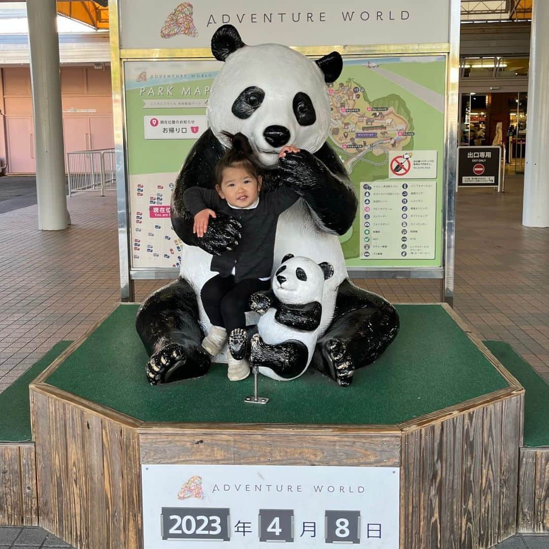 申真衣のインスタグラム：「長女とライブの日、👨🏽👶🏻は和歌山へ🐼✈️  家族4人でも楽しいけど、一対一で向き合う時間も大事にしたいなぁと改めて😌」