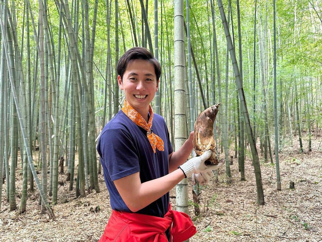 布施宏倖さんのインスタグラム写真 - (布施宏倖Instagram)「【たけのこ】 先日、「新井恵理那のあら、いーな」のロケで、 千葉県木更津市にある「森本農園 観光竹林」でタケノコ掘りを体験してきました☀️ . 温暖な気候の影響で例年よりも早く成長しているそうです🎋 . 探し方ポイント📖 ①薄緑や黄色の"芽"を遠目で探す ②足の裏に当たる固い感触で探す . 最初はタケノコが全く見つけられず苦戦しましたが、 ２つのポイントを意識してみると、 とても簡単に見つかるようになりました🌟 . 最終的にはなんと、 約1時間で10本収穫💪 . 楽しくて顔に土が付いている事も気づかずに 汗を流しながら熱中していました🔥 . 採れたて2~3時間以内はアク抜き不要ということで お刺身にして食べたり、ホイル焼き、たけのこご飯と、 どれもとても美味しかったです☺️ . . #布施宏倖 #テレビ朝日アナウンサー #テレビ朝日 #アナウンサー #タケノコ #筍 #たけのこ #タケノコ掘り #旬の食材  #たけのこ料理 #お刺身 #ホイル焼き #たけのこご飯 #料理」4月11日 21時30分 - hiroyuki.fuse_ex