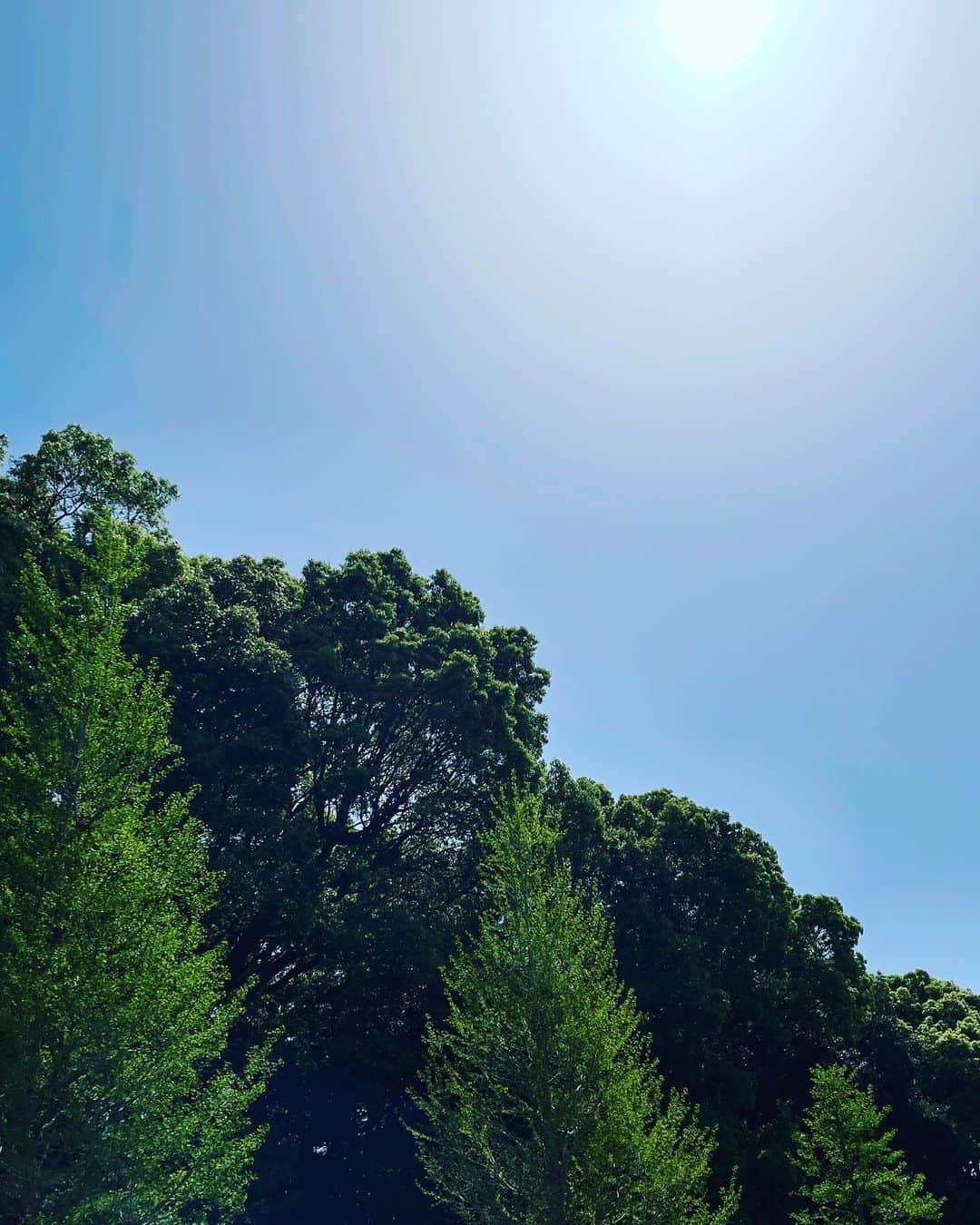 恒松あゆみのインスタグラム：「良いお天気だったのでてくてく歩いてみたら暑かった火曜日。  空が綺麗だったなぁ。  生放送、息子の小学校の保護者会、台本ピックアップとバタバタな1日でしたが、こどもたちがすんなり寝たのでようやく一息。  今日も1日お疲れ様でした。 かんぱい🍻   #火曜日」
