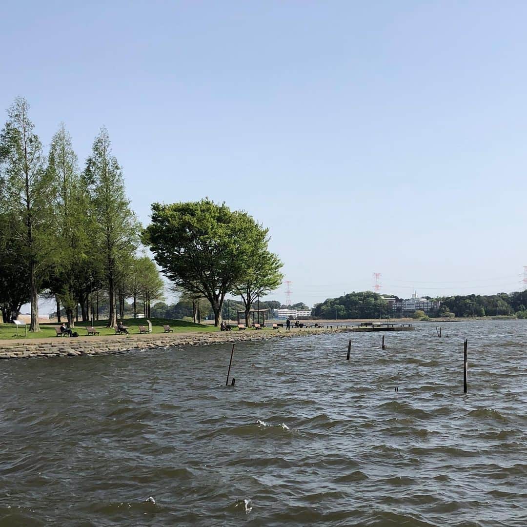 金剛地武志のインスタグラム：「天気も良かったんで目的地の手前で降りて、手賀沼見てきました。白鳥の沼。脇にある我孫子市鳥の博物館もとても良かった。大変な量の剥製。体系的な分類、展示、勉強になった。あと駅に行く途中の前方後円墳です。」
