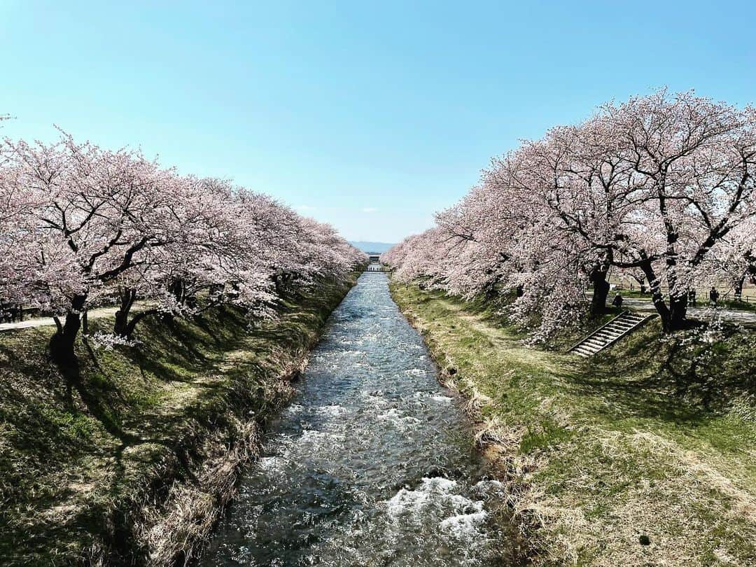 楽山孝志さんのインスタグラム写真 - (楽山孝志Instagram)「三年振りの実家...感動 #富山  #実家  #自然  #桜  #チューリップ  #nature  #photography  #flowers  #cherryblossom  #樱花  #老家」4月11日 21時51分 - takashi.rakuyama