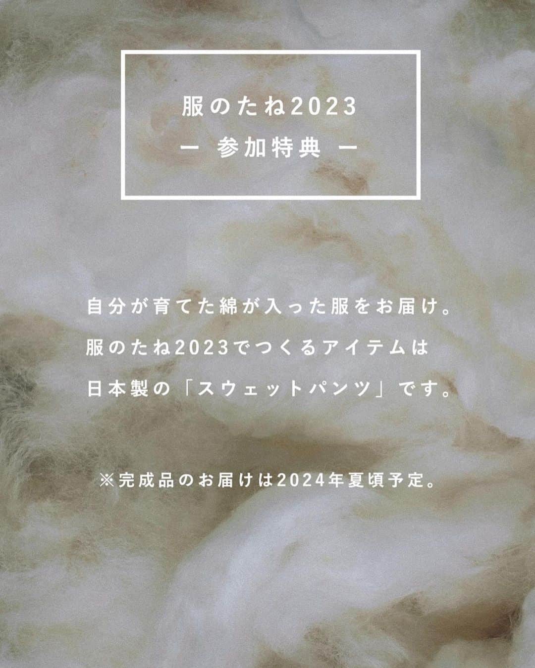 鎌田安里紗さんのインスタグラム写真 - (鎌田安里紗Instagram)「今年も！はじまります！ 服のたね @fuku_tane #服のたね  綿から育てて服をつくる、参加型のものづくり  2018年にスタートして、気づけば6年目になりました🌱🪴🌳  2018年はシャツ 2019年はスウェットプルオーバー 2020年は靴下 2021年はスニーカー（コロナでソール部分の原料調達のトラブル等あり、まだお届けできていなくてすみません…もう少しで参加者の皆様にお届けです！） 2022年はＴシャツ（こちらも着々進行中）  そして、2023年はスウェットパンツ！です。  コットンは5月に種まきせねばならないので、お申込みは年に1回、この4月だけです。 ハイライトにウェブサイト（お申込みもこちらから）を載せておくので、ぜひご覧になってみてください！  参加費は月額3,300円で1年間。こちらに出来上がった製品の金額も含まれています。  コットン栽培、もちろん参加していただく全員が成功する訳ではないですが（水やり忘れて枯れてしまったり、水やりすぎて腐ってしまったり、台風にやられたり、虫の襲来にあったり…）それも含めて、当たり前に身につけているコットンの服がどうやってできていくのか体感できるのは、とってもたのしい学びになります。  わたしも毎年、種から育てて、半年と少し経った頃にコットンボールがとれると、しみじみ感動してしまいます。  わりとズボラな（そして出張で家を空けることもある）わたしでも、一応毎年収穫できているので、あまりしんぱいしすぎず、興味を持ってもらえたら、一緒に栽培チャレンジしましょう🫡」4月11日 21時51分 - arisa_kamada