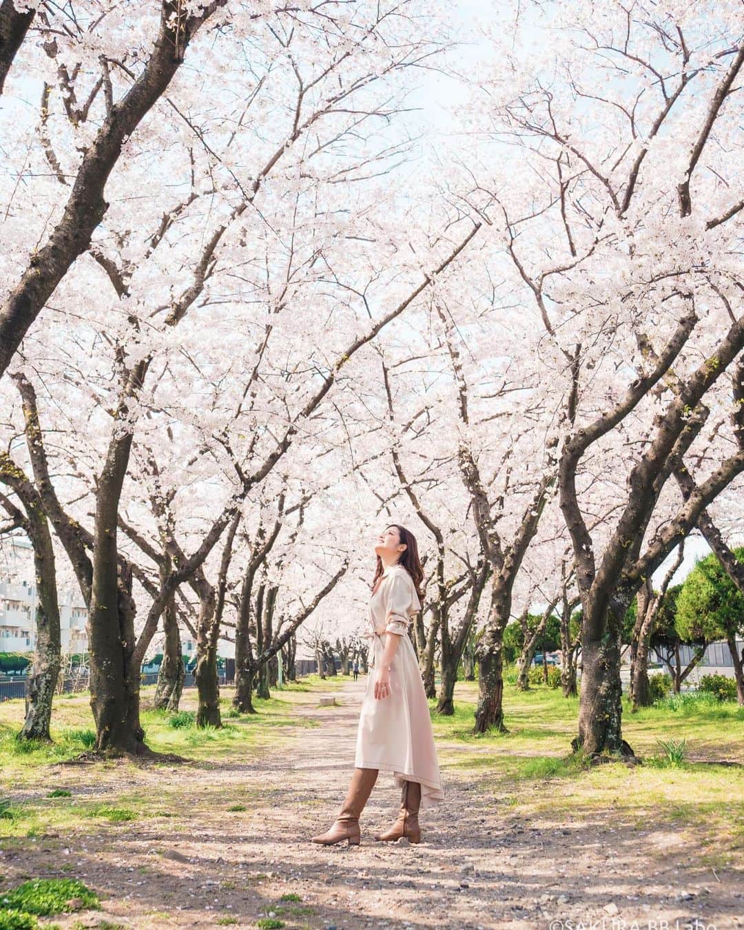 LIHOCOのインスタグラム：「@sakura_bblabo の撮影データ📸  今年は桜がたくさん見れて嬉しかったな〜🌸 撮影の日も写真の通り満開で、見渡す限りの桜に囲まれて幸せだった🥰  そして、ヘアケア剤も桜と可愛く🥰 シャンプー、トリートメントも最高だけど タオルドライ後にするトリートメントも 朝起きた瞬間から髪からいい匂いがするの😌♥ (写真四枚目)  ハイライトからリンクに飛べるようにしてるから ぜひ見てみてね😇」