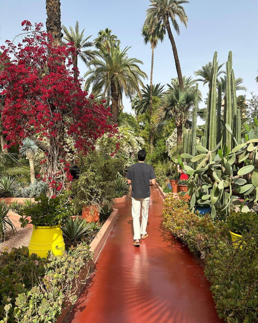 マルチェ・フェルフーフさんのインスタグラム写真 - (マルチェ・フェルフーフInstagram)「Marrakesh tour recap 🇲🇦 First a tour at the incredible Jardin Majorelle, afterwards we went to a traditional rug store were they showed us how the rugs are handmade and the materials they use. Followed by Bou Inania Madrasa and last but not least a walk through the Medina」4月11日 22時00分 - maartjeverhoef