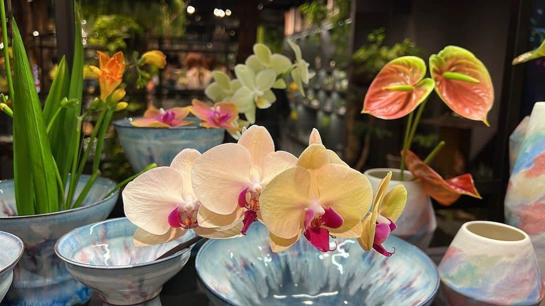のインスタグラム：「💠 すてきなお花と、花瓶と :)」
