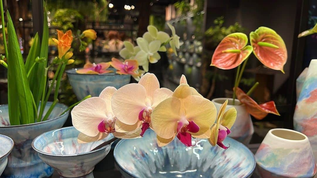 池間夏海のインスタグラム：「💠 すてきなお花と、花瓶と :)」