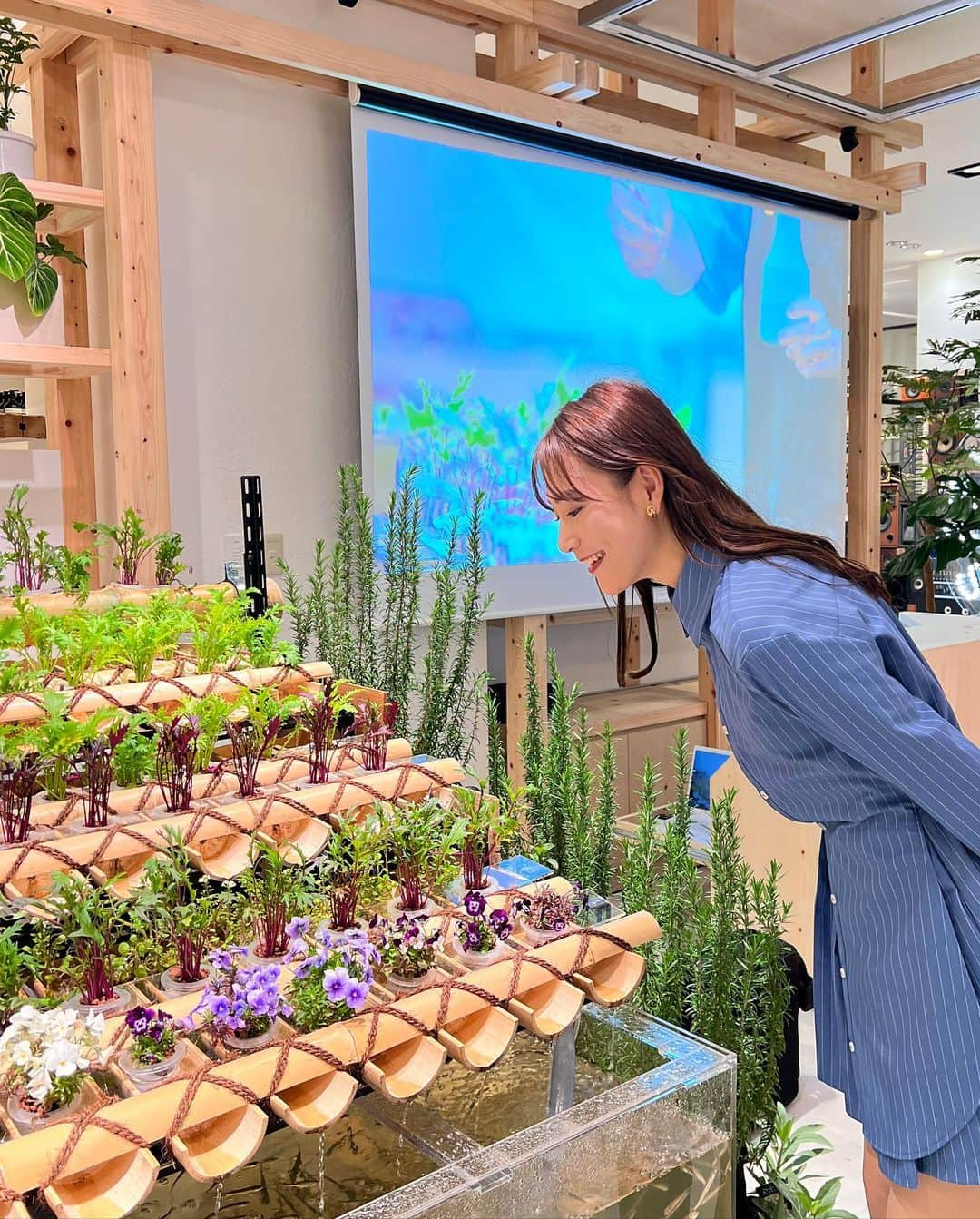 秋山未有のインスタグラム：「阪急百貨店うめだ本店の８階に 明日4月12日よりオープンする @hankyu_greenage  の内覧会にいってきました🌿🌏  「人と自然の共生」をテーマにしたこのGREEN AGEでは 世界初のステラマッカートニーのカフェ 「STELLA’S WORLD by Stella McCartney」や 期間限定で AGRIKO FARMさんの体験スペースがあったり 水草を中心とした製品ブランド DOOA が大阪初上陸していたりと 見どころたくさんなのでぜひ遊びに来てね🫶🩵  #阪急うめだ本店 #greenage #hankyu #green #阪急百貨店 #agrikofarm #dooa #stellamccartney #hankyuumeda #SDGs #sustainable #循環型社会 #循環型農業 #アクアポニックス #水草 #パルダリウム」