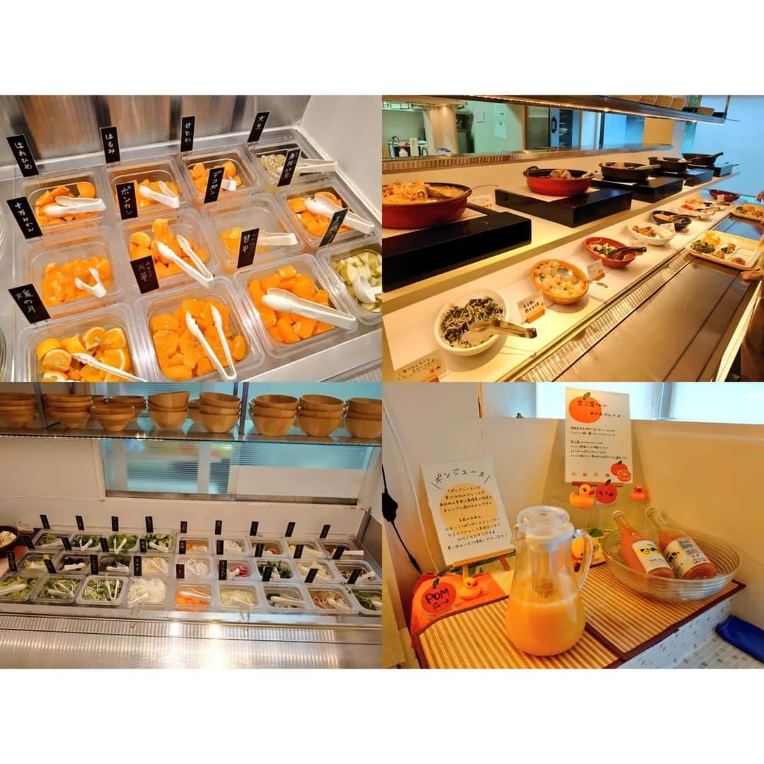 矢田部ゆかさんのインスタグラム写真 - (矢田部ゆかInstagram)「朝食は徒歩1分の「道後やや」へ☀ 宿泊した道後舘の朝食も素敵だったんだけど上品な和食だったので… 子連れの私はビュッフェへ✨  ここ7年ぶりに来たんだけど… この柑橘のラインナップとサラダの豊富さはテンションあがる😆 砥部焼の器を選び放題なのも楽しい（写真撮り忘れ） 生搾りみかんジュースの機械がなくなってたのは残念🥹  子ども用のテーブルもあってありがたい👧 娘もたくさん食べた👏  ✦鯛めし ✦大根そぼろ餡掛け ✦蒸しかぼちゃ＆さつまいも ✦🍊ゼリー4個 ✦柑橘12ケ ✦ポンジュース1杯 ✦牛乳1杯  特に鯛めしとせとかがお気に入りのようでした😋💕 #道後やや #道後朝食」4月11日 22時33分 - yucaparis93