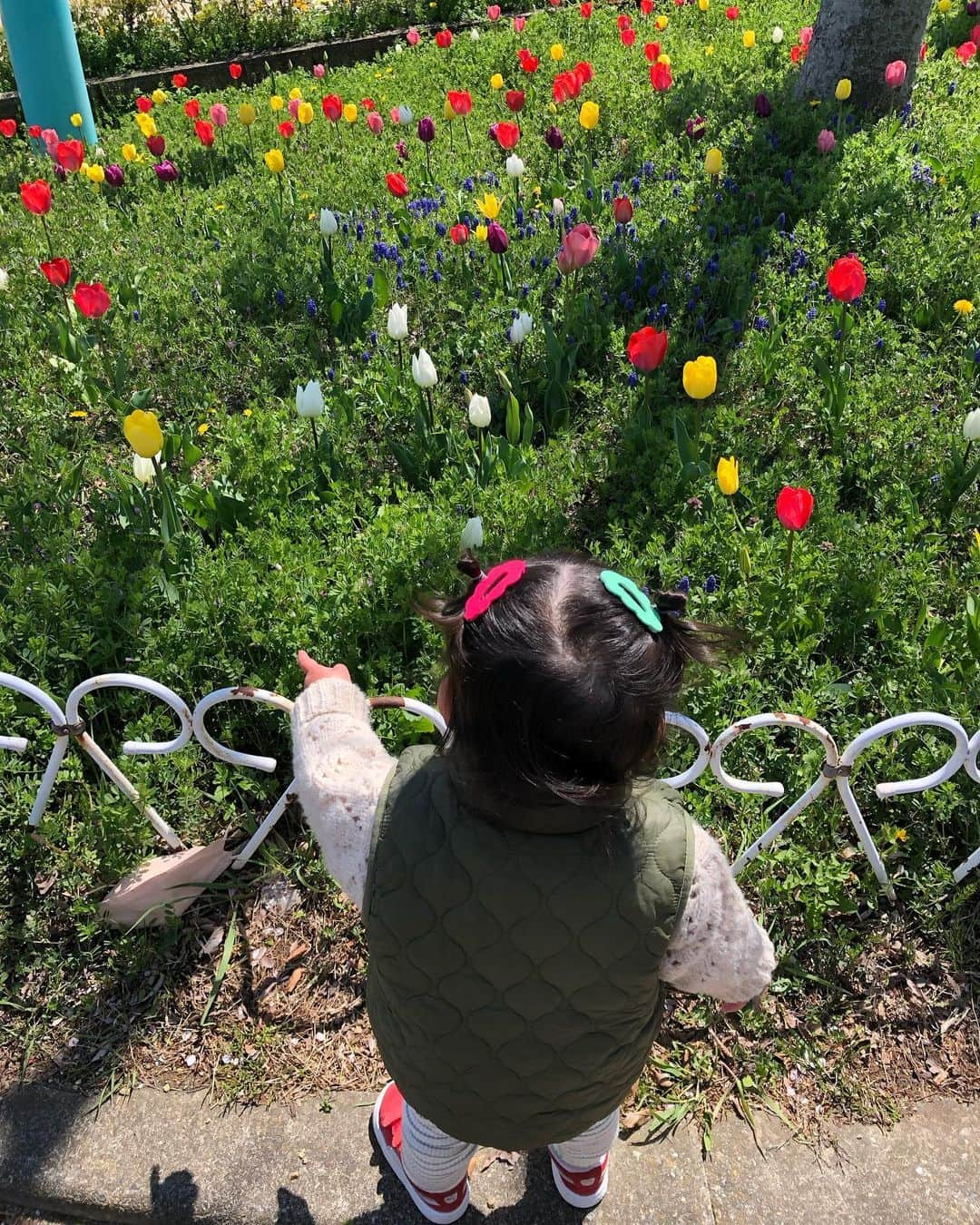 MIYUさんのインスタグラム写真 - (MIYUInstagram)「⁡ ⁡ ⁡ チューリップいっぱいで 嬉しかった日🌷🌷🌷 ⁡ ⁡」4月11日 22時33分 - _moon.me_u