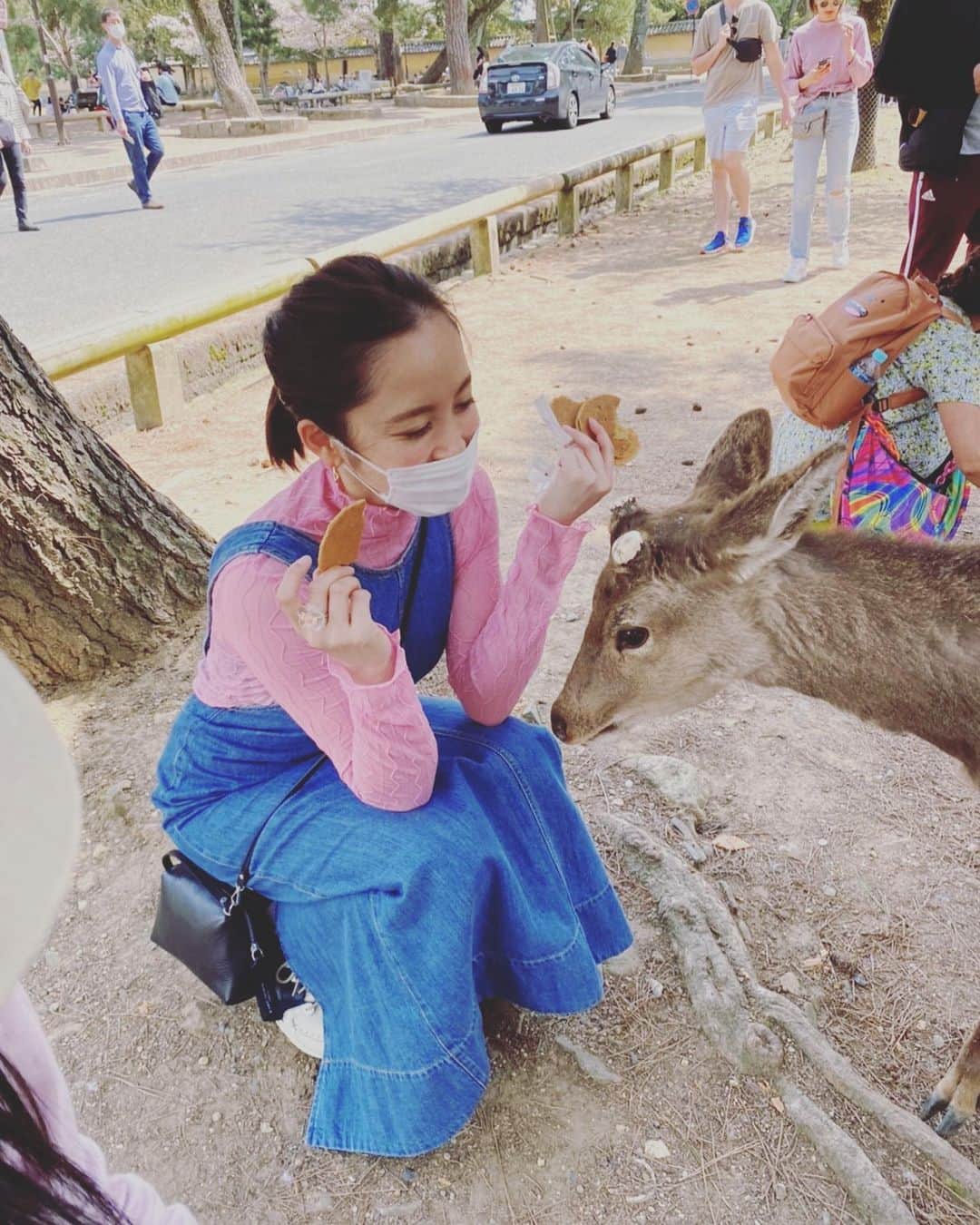 武田訓佳さんのインスタグラム写真 - (武田訓佳Instagram)「🦌🌸 ・ ・ 奈良に行った日🤍 ・ お返事してくれるシカさんたちかわい〜💕(動画) と思ったら、 空腹のシカさんにはお腹噛まれたりして😱 逃げ惑ってた🙈 と思ったら、 午後になったらシカさん満腹で 全然おせんべい食べてくれなくなって← 1枚ずつとかもう食べ飽きたシカさんが まとめて持ってる方をばくぅ！！ ・ ・ シカさん強かった😇 ・ ・ 4月はじめ、桜も綺麗で大満足でしたん💓 ・ ・ ・ #たけだの春 #奈良 #東大寺 #大仏殿 #東大寺ミュージアム #二月堂 #鹿せんべい #1日中あげてた #😇 #シカ #鹿 #🦌 #🌸」4月11日 22時31分 - kunika0117