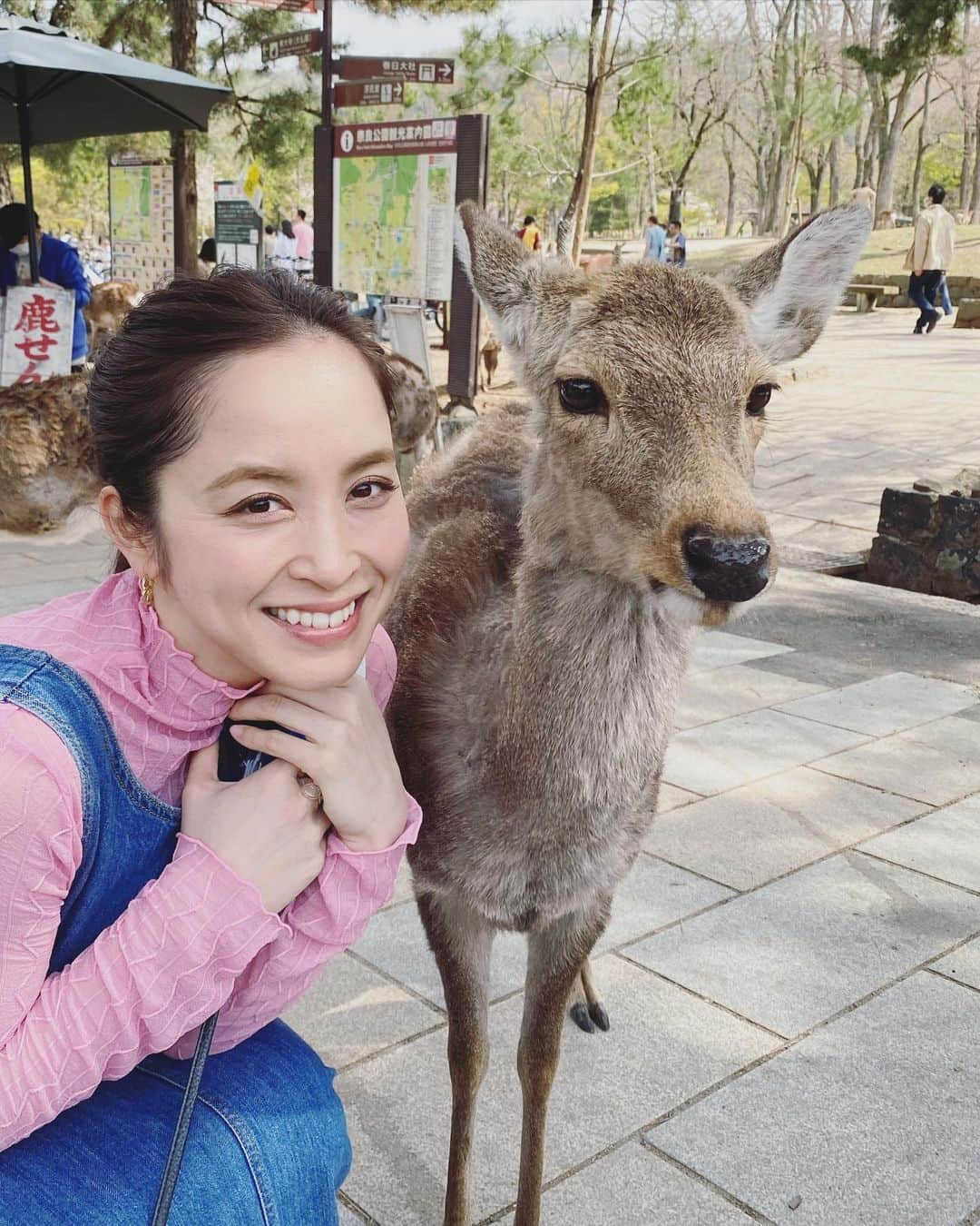 武田訓佳さんのインスタグラム写真 - (武田訓佳Instagram)「🦌🌸 ・ ・ 奈良に行った日🤍 ・ お返事してくれるシカさんたちかわい〜💕(動画) と思ったら、 空腹のシカさんにはお腹噛まれたりして😱 逃げ惑ってた🙈 と思ったら、 午後になったらシカさん満腹で 全然おせんべい食べてくれなくなって← 1枚ずつとかもう食べ飽きたシカさんが まとめて持ってる方をばくぅ！！ ・ ・ シカさん強かった😇 ・ ・ 4月はじめ、桜も綺麗で大満足でしたん💓 ・ ・ ・ #たけだの春 #奈良 #東大寺 #大仏殿 #東大寺ミュージアム #二月堂 #鹿せんべい #1日中あげてた #😇 #シカ #鹿 #🦌 #🌸」4月11日 22時31分 - kunika0117