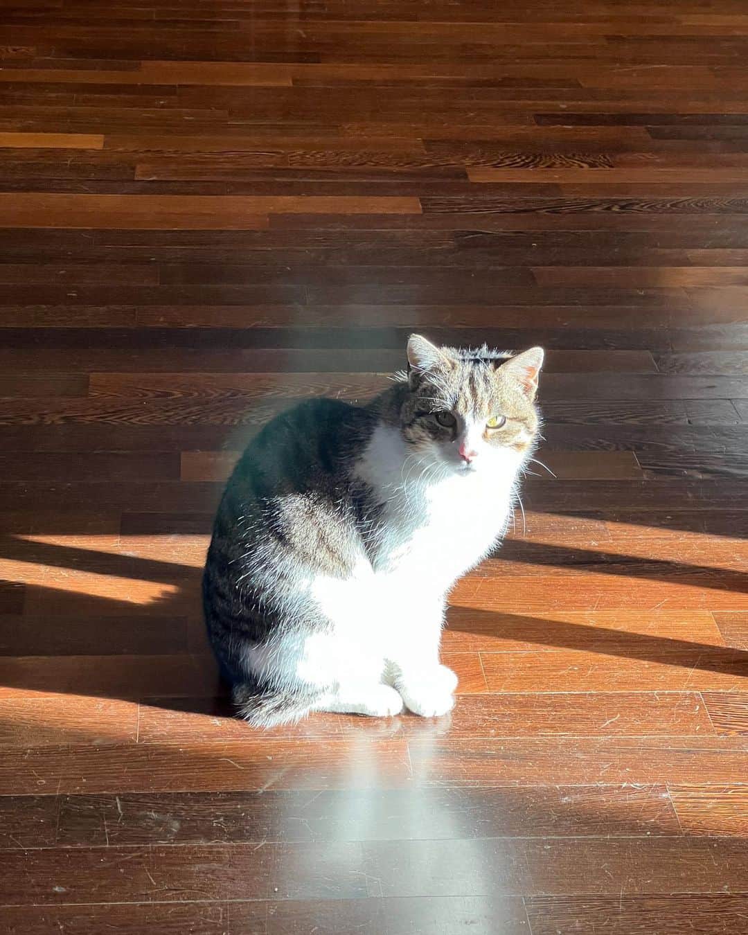 Giann Chanさんのインスタグラム写真 - (Giann ChanInstagram)「Find the locations as below👇🏻  1. Punto Panoramico Crete Senesi Agr. Baccoleno  2. Borgo Iesolana  3. Le melosa Resort   #Tuscany #Florence #Italy」4月11日 22時45分 - chan.tsz.ying