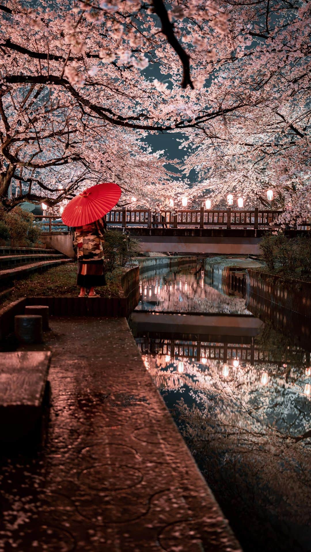 shabonのインスタグラム：「* . . . . . 夜桜🌸 . もう埼玉の満開が 懐かしく感じる🥺笑 . リフレクションがとても 綺麗でした✨ . model : @hakuchuu1882  .  FUJIFILM X-T5 /  XF23mm F1.4 R . お仕事・撮影のご依頼はDMかメールに お願い致します。 . . . . . . *」