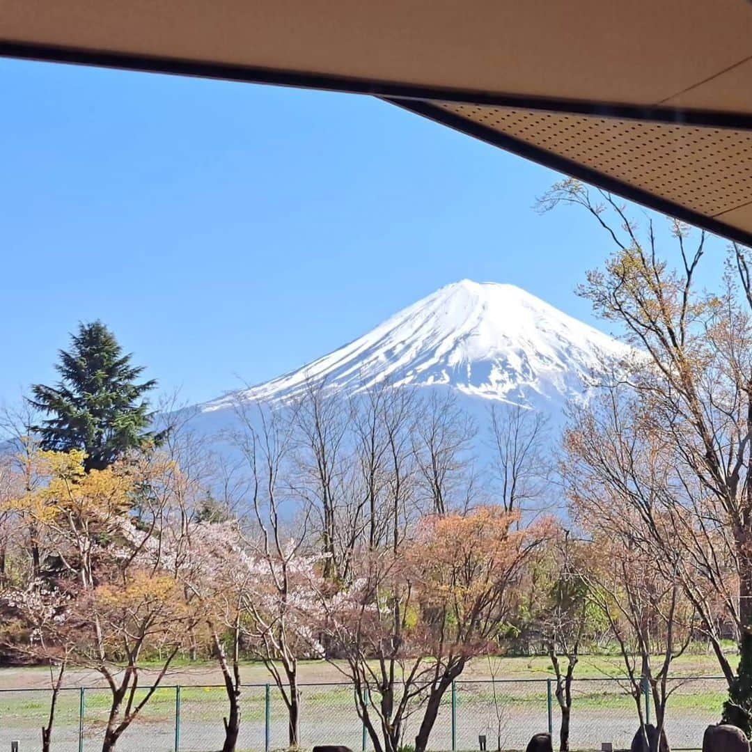 綾小路きみまろさんのインスタグラム写真 - (綾小路きみまろInstagram)「綾小路きみまろです。 河口湖の桜も 満開を過ぎ… あっと言う間に 散りはじめています。 今週末は ぜひ河口湖にお出向きくださいね！ 急いで～🏃‍♂️😊  #綾小路きみまろ #きみまろ茶や #河口湖 #富士山 #桜 #桜満開  #cherryblossom  #mtfuji  #kawaguchiko」4月11日 23時01分 - ayanokojikimimaro_official