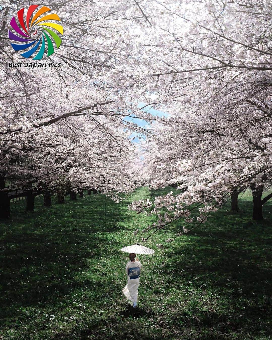 Follow & use #bestjapanpicsのインスタグラム：「＊---Today's Bestjapanpics---＊ . 👑Congrats to @nao1979411  素敵なお写真へのタグ付けありがとうございます✨ . 📷 Select by @bloom4123 (Mod) 🗾 Location : 岩手県 📎 Category :#桜 . *Follow us @bestjapanpics_ . *Tag #bestjapanpics  . 撮影地の都道府県をキャプション・コメントタグ・ジオタグのいずれかに入れて下さい。 . @bestjapanpics_ では日本で撮られた素敵なお写真へのタグ付けをお待ちしています✨ . Select the amazing photos every day. ダグ付けをして頂い投稿の中から 素晴らしい写真を選出させていただきます。 . . 🤝Friend hub @factory_shotz 工場の写真 @setouchi_gram 瀬戸内の魅力を . . #japan #photo #camera #landscape #nature #portrait  #日本 #写真 #カメラ #風景 #自然 #ポートレート .」