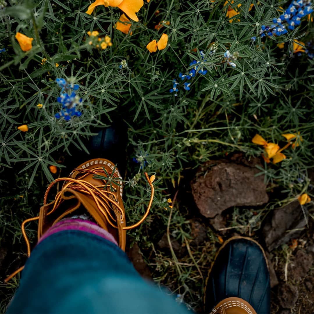 L.L.Beanさんのインスタグラム写真 - (L.L.BeanInstagram)「Connecting with nature is one of the best ways to connect with each other. #BeanOutsider (📸: @roamwithbus)」4月11日 23時33分 - llbean