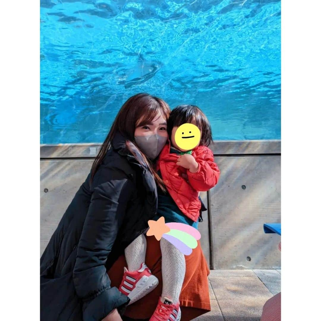 矢田部ゆかのインスタグラム：「とべ動物園🐻🐧🐘🦒🦁  大好きな先輩が連れて来てくれた〜😍 私、元々動物が好きじゃないんだけど… 娘のおかげでこの1年、動物園6回目🤣 今回も連れてきてもらえて嬉しかった❤  娘は楽しそうに歩き回って、転んだら真奈ちゃんに「こけたの！」って膝アピールしてた🤣🤣🤣※写真4枚目  ロケ中のみなみちゃん（南海放送現役アナ）にも会えました😳　 ✨こんな可愛いのに性格良くてパーフェクト…🥺💕ｷｭﾝ  #とべ動物園 #とべzoo」