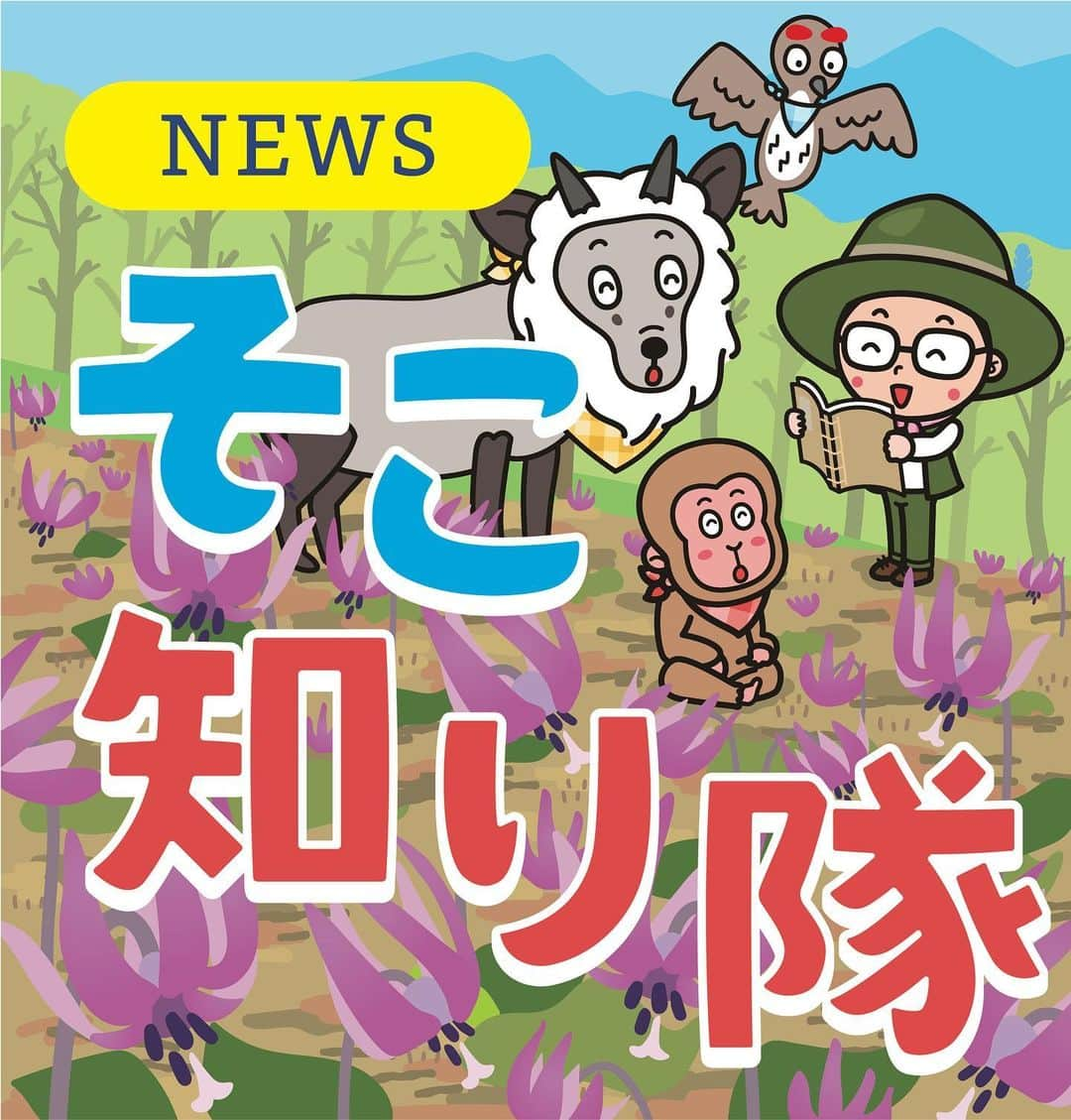 北沢直樹のインスタグラム：「信濃毎日新聞『そこ知り隊』2023春 “カタクリの花” ・ 少しまえから、春のイラストに変わってます✨ ・ #そこ知り隊 #信濃毎日新聞 #松茸 #上田 #信毎 #信州 #長野 #nagano #新聞 #カワイイ #イラスト #キャラクター #キャラ #newspaper #drawing #artworks #manga #character #cartoon #anime #illustration #kawaii #mydesign」