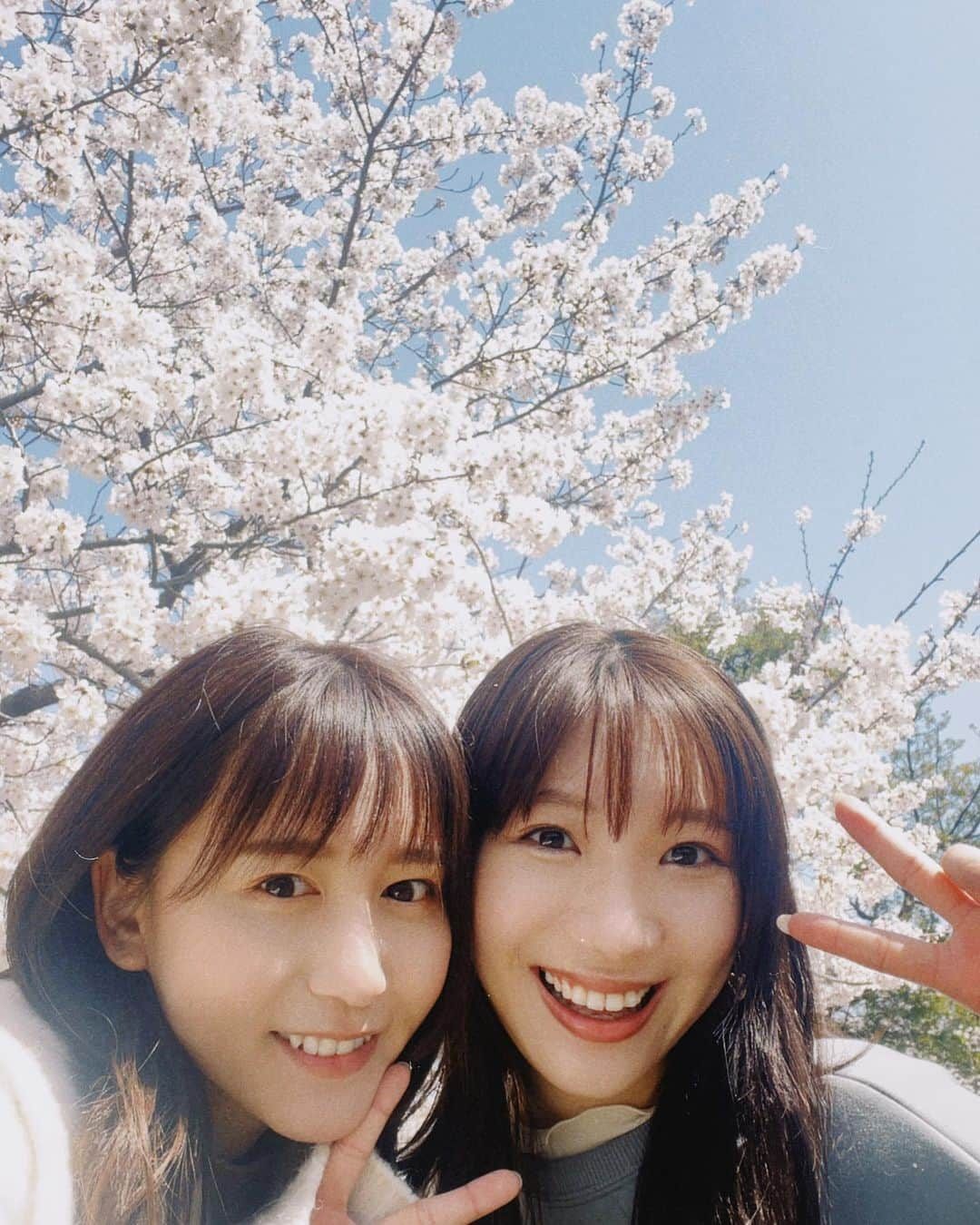 大場美奈のインスタグラム：「🌸 　 まりなってると福岡で桜みた😌 とっても素敵でしたっ 　 福岡でまりなってると どっか行くのが毎回の楽しみ🤍」