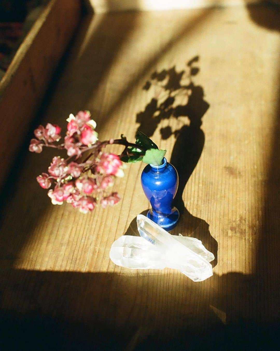 Joe Ideのインスタグラム：「あまりに可愛い西日と花瓶と石が  揃ってしまった🌸お気に入りのものが  家にたくさんあると毎日楽しい🇮🇳  それは値段でもないし誰が作ったとかでもなくて  なんか好き  って言う感覚が大事なのかもしれない🥰」