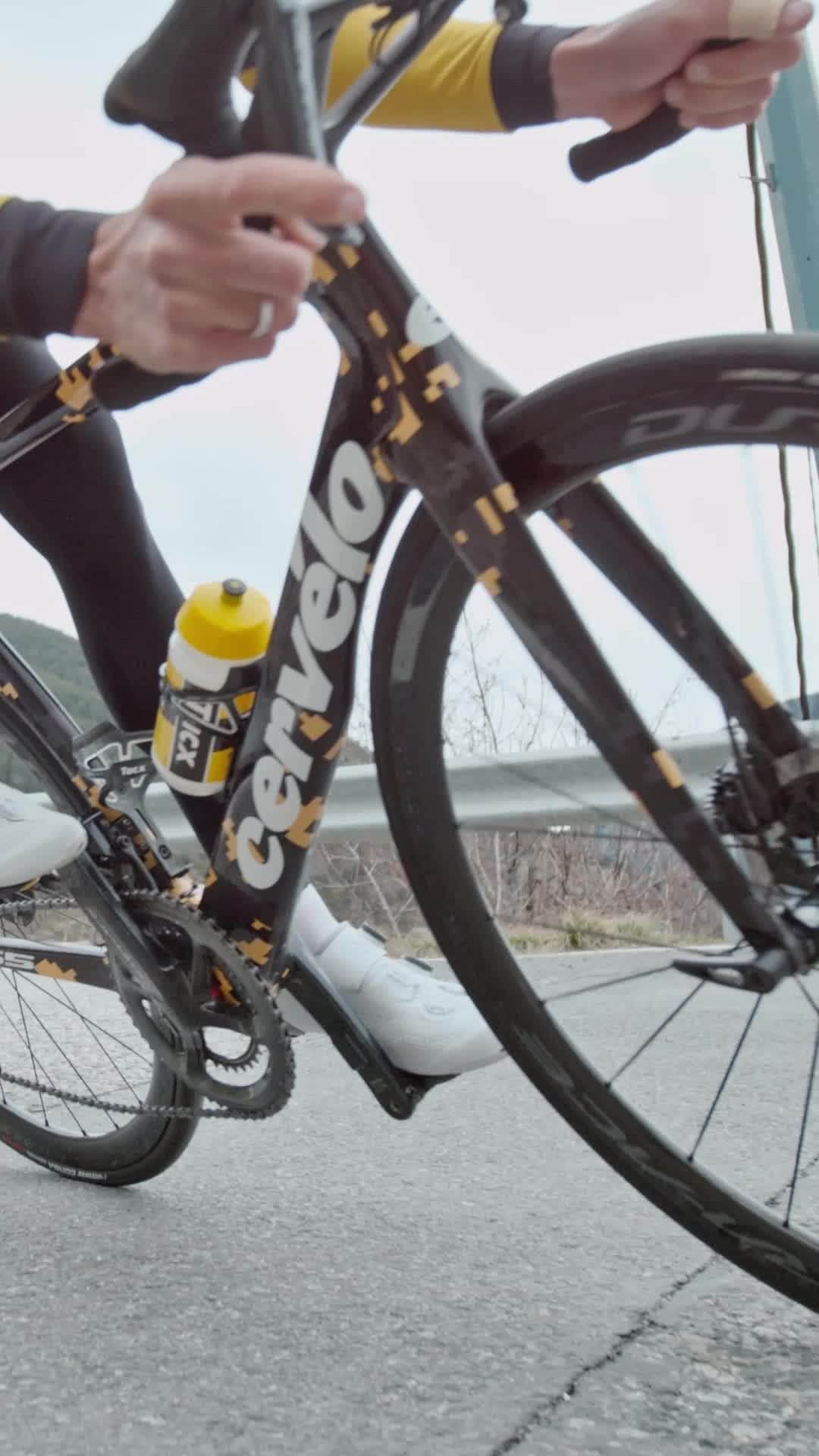 Shimanoのインスタグラム