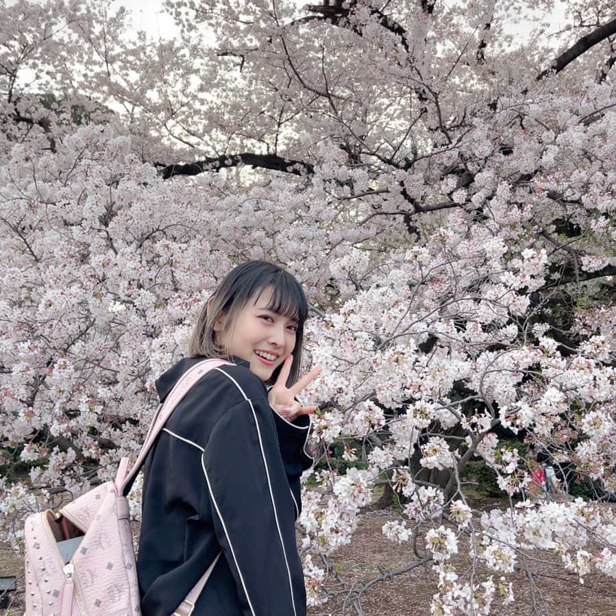 戸奈あゆみのインスタグラム：「しっかりピースした素晴らしい記念写真。 ただし、1つ問題がある。 皆さん、カバンをよく見てください。  。。。。いいのよ！それが私！ 何もなければ私じゃない！  こういうキマりきってないのが私！  友達に、ちゃんとキメ顔してるのに、チャック開いたままみたいなとこがあゆみの好きなとこww と言われたので、まぁ良しとするか🙄🙄💓  #japanesegirl #japanese #girl #photography #portrait  #selfie  #被写体 #自撮り #自撮り女子  #自撮り界隈 #model #写真 #フリーモデル #ポートレート女子 #モデル #撮影モデル #大学院 #大学院生  #ボブ  #ボブヘア」
