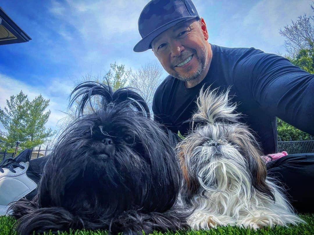 ドニー・ウォルバーグのインスタグラム：「Happy #ShihTzuesday from me and these two little angels. Have an awesome day! 🐶🐾🙏🏼❤️💫✨😍 🤖❤️♾💫✨🤟🏼 #shihtzu #shihtzusofinstagram #shihtzulovers」