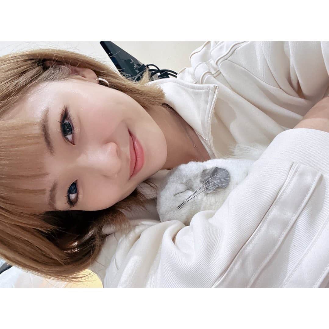 のインスタグラム：「わたちゃんが天使になって49日が経ちました。 なかなか現実を受け入れることが出来ず49日に報告することに決めてました。 わたちゃんと居た時間は短いようでめちゃめちゃ長く、あみかにとってでかすぎる存在です。 離れたくなかったしもっと一緒に居たかった でもわたちゃんにしてあげれたことに何も後悔はないです。 あみかに幸せをいっぱいくれてありがと。  またいつか何かに生まれ変わって帰ってきてね。」