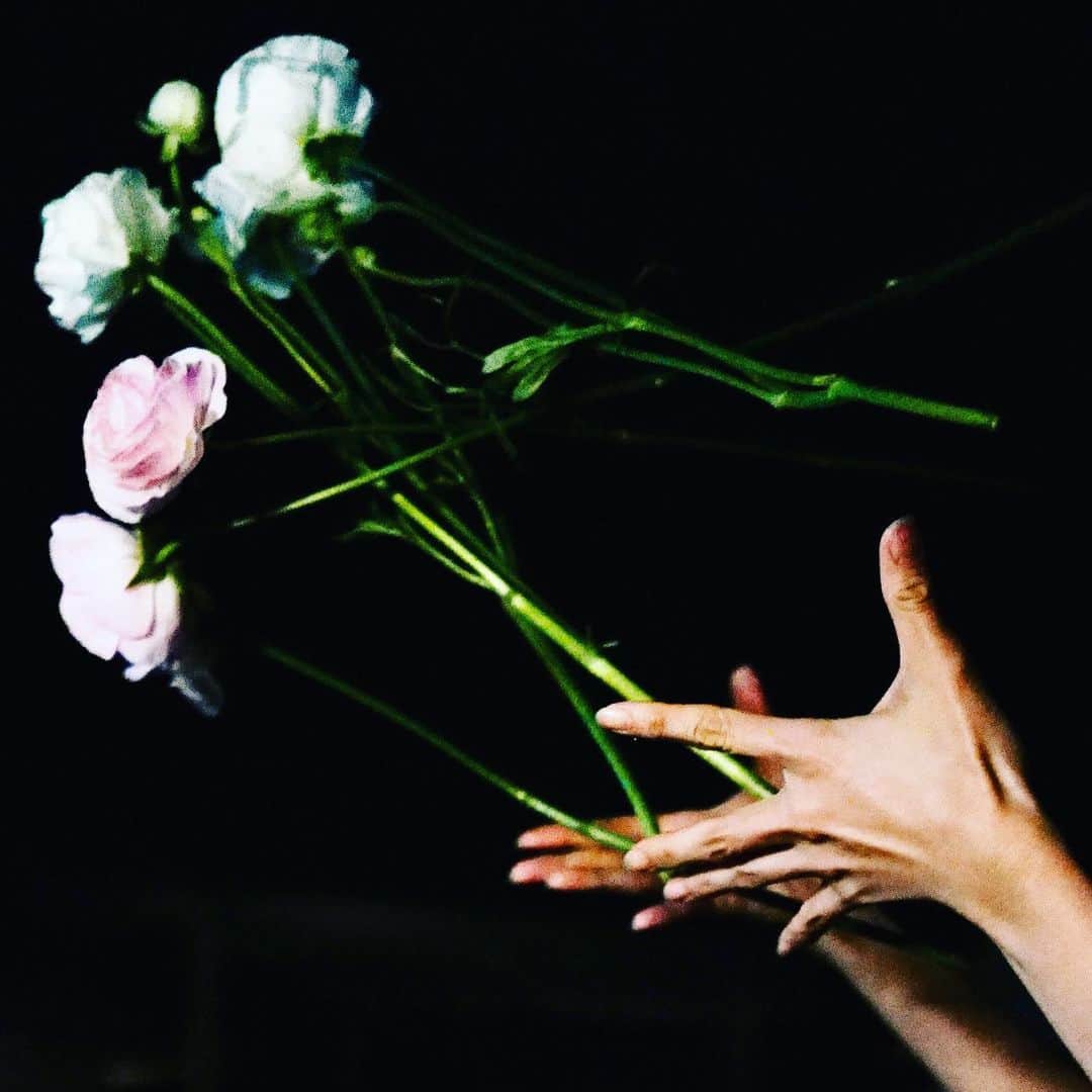 のインスタグラム：「. 2023.04.12 Release  散る 散る 満ちる feat. 菅田将暉 https://jvcmusic.lnk.to/strangereitaro_chillchillmichelle  Lyric,Music and Cover Photo:奇妙礼太郎 @reitaro_strange  Produced and Arranged:Sundayカミデ @sundaykamide  Track:アツムワンダフル @atsumu_wonderful」