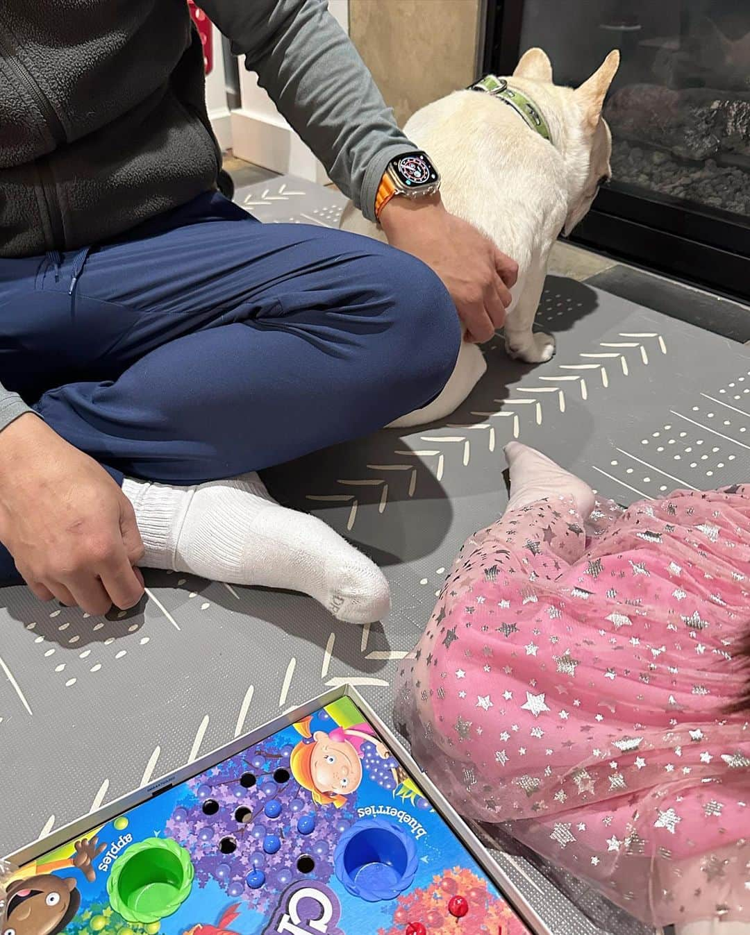 Sir Charles Barkleyさんのインスタグラム写真 - (Sir Charles BarkleyInstagram)「When you just wanted to play Hi Ho Cherry-O with the fam but, oh yeah, you’re a dog #gamenight #doggytantrum」4月12日 0時46分 - barkleysircharles