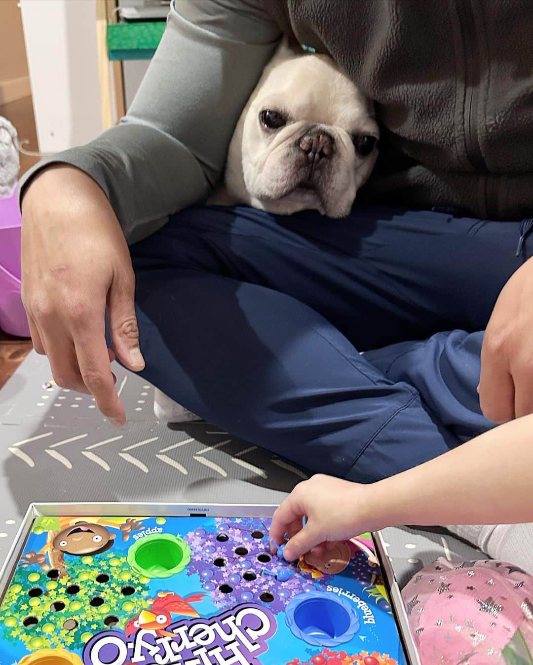 Sir Charles Barkleyのインスタグラム：「When you just wanted to play Hi Ho Cherry-O with the fam but, oh yeah, you’re a dog #gamenight #doggytantrum」
