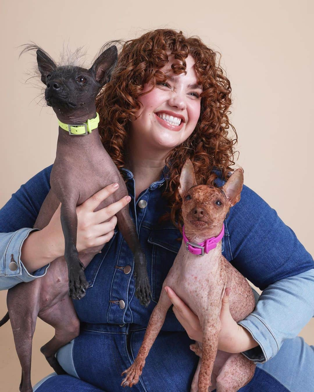 ブリー・キッシュのインスタグラム：「happy national pet day from me and my little family 🫶🏼✨ the best thing i’ve ever done was adopting these two perfect angels 🥹 thank you for having us and highlighting rescued pets @wildone!」