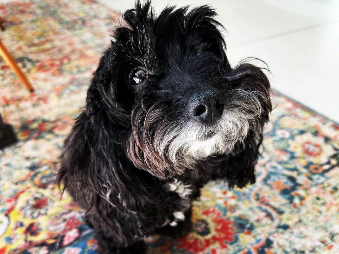サム・クラフリンのインスタグラム：「10 years of you.  Happy birthday RoRo.」