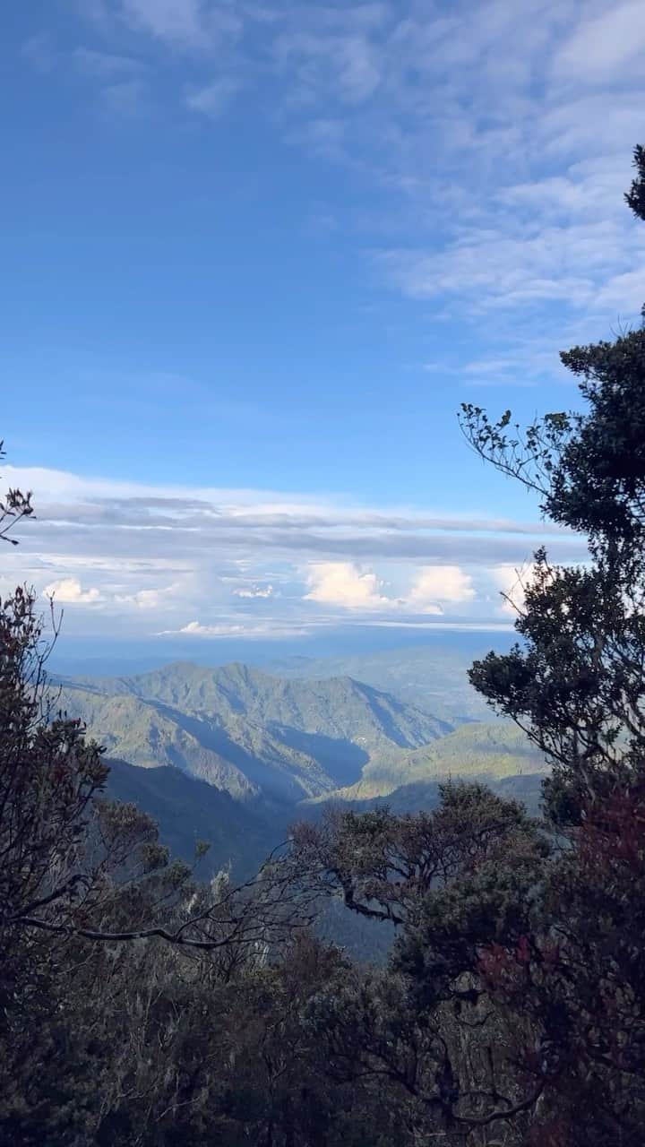 ラライン・シャーのインスタグラム：「Taking the time to slow down♥️」