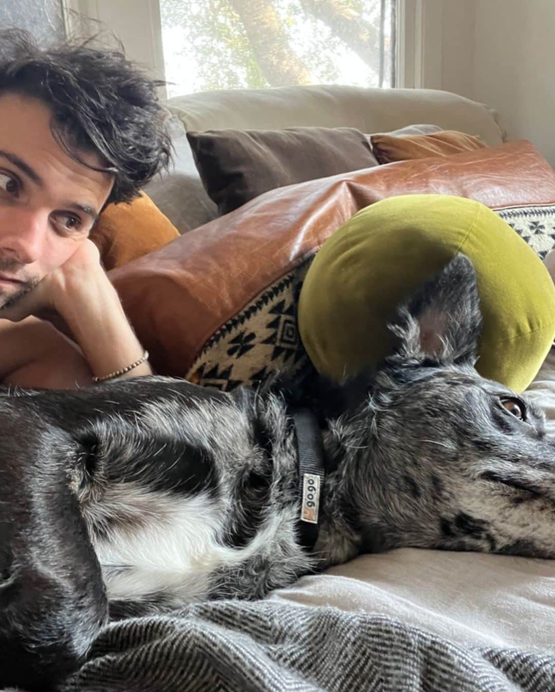 ジャック・ファライーのインスタグラム：「Happy national pet day to all the dogs in my life.」