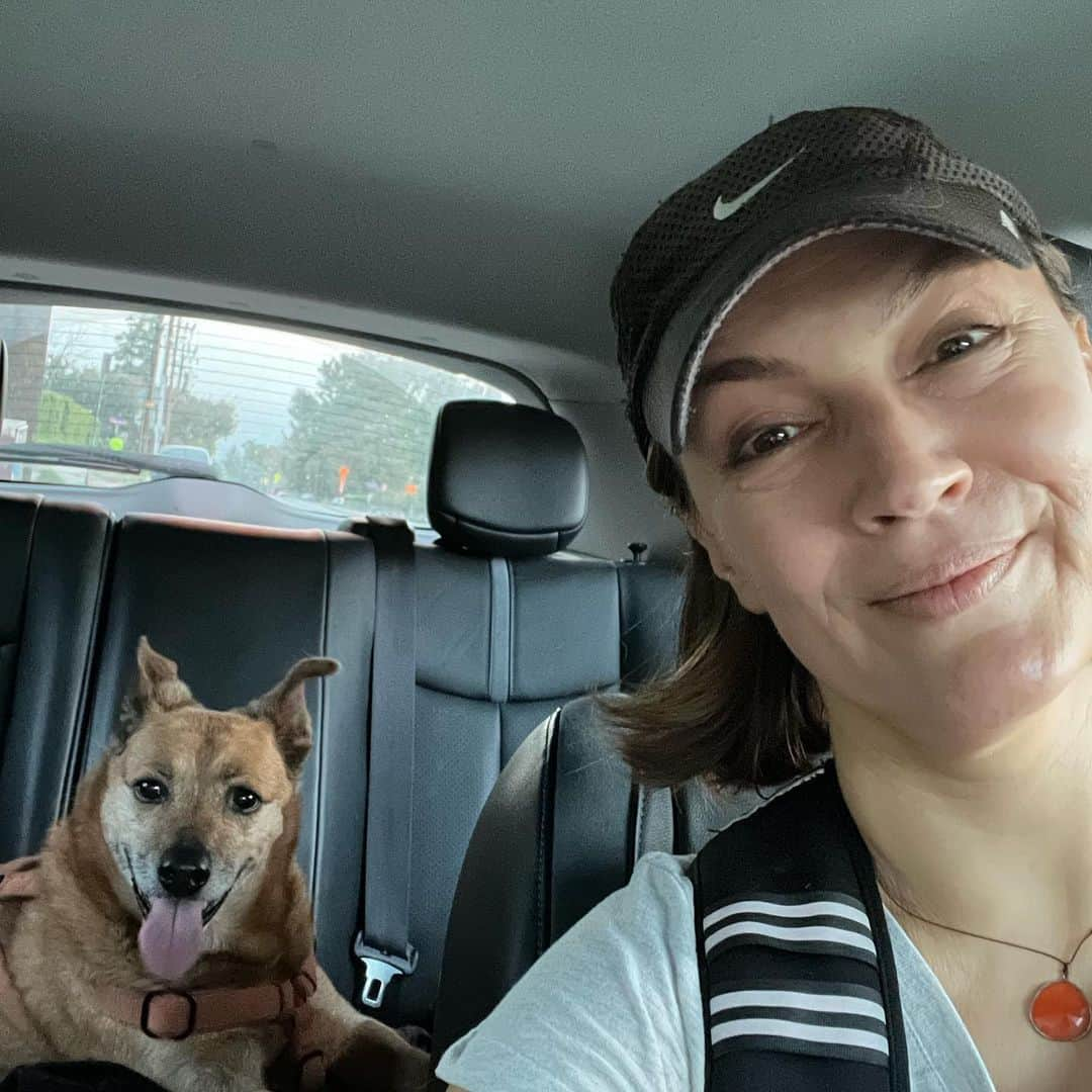 レスリー・フェラのインスタグラム：「Nothing says #nationalpetday like a hike with my oldest rescue, Benny. Still raring to go at fourteen! He loves #sanmerrilltrail in Pasadena. 🥾  I’m cherishing these days. ❤️🐕❤️ . . . #dogsofinstagram #dogs #doglife #doglove」