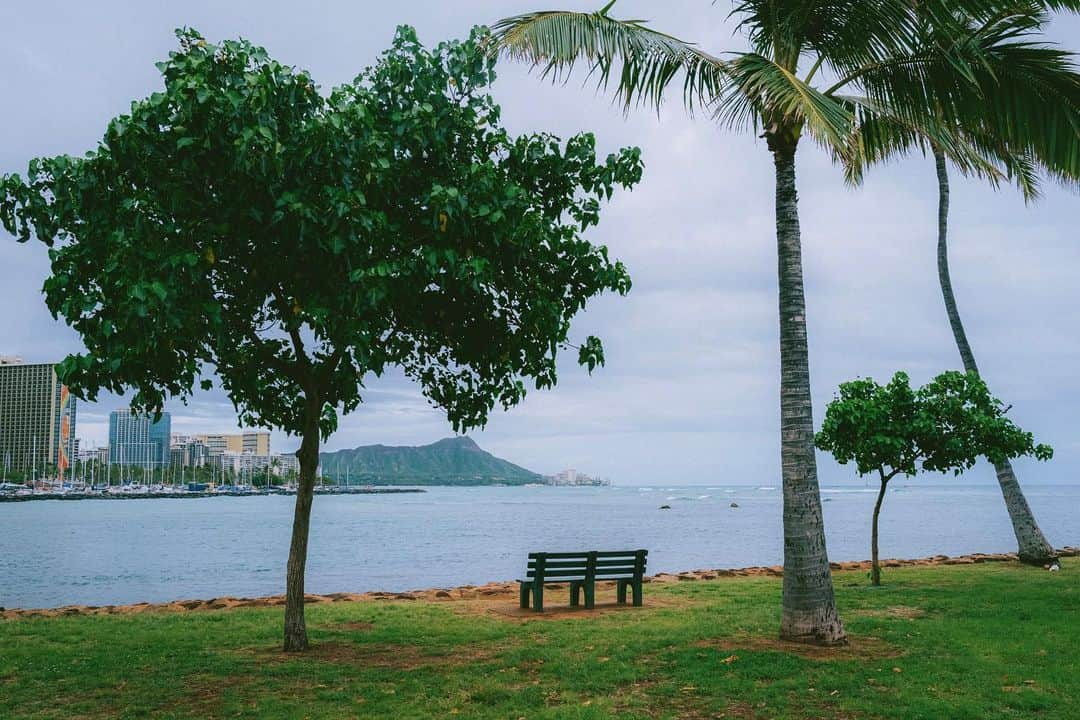 アレックス・シブタニさんのインスタグラム写真 - (アレックス・シブタニInstagram)「Postcards from around the island. 🤙📸」4月12日 11時33分 - alexshibutani